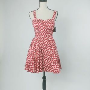❣❣❣ Ixia super adorable dress NWT ❣❣